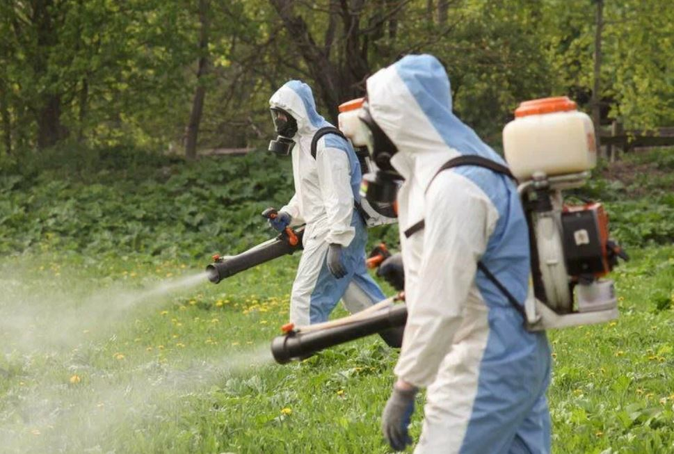 ФОТО Уничтожение клопов в Отрадном