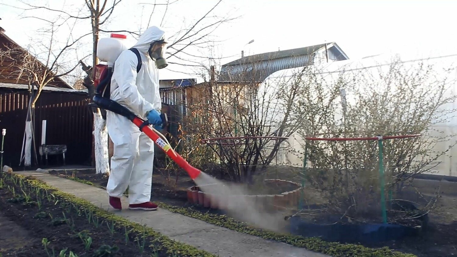 ФОТО Уничтожение муравьёв в Отрадном