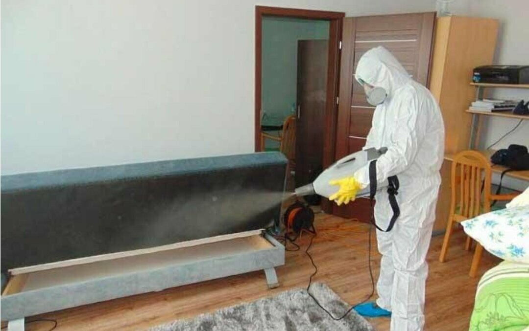 ФОТО Уничтожение блох в Отрадном