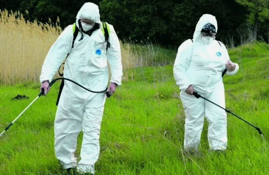 ФОТО Обработка от клещей в Отрадном