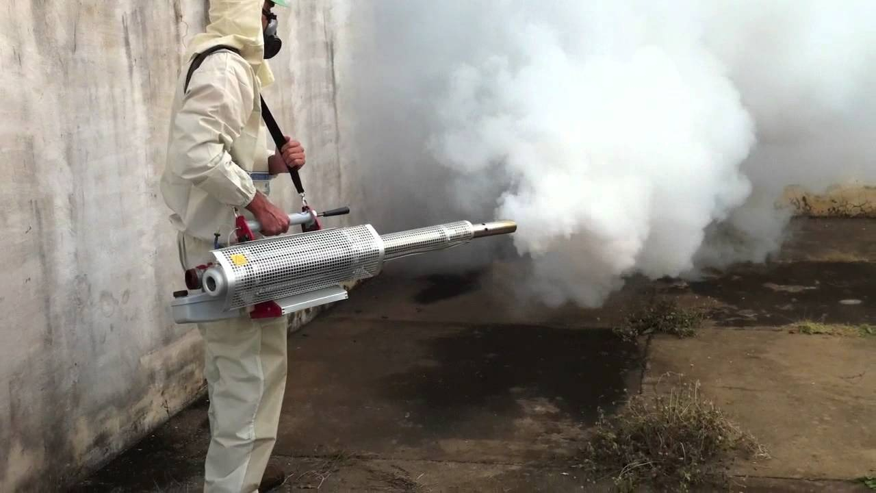 ФОТО Уничтожение мух в Отрадном