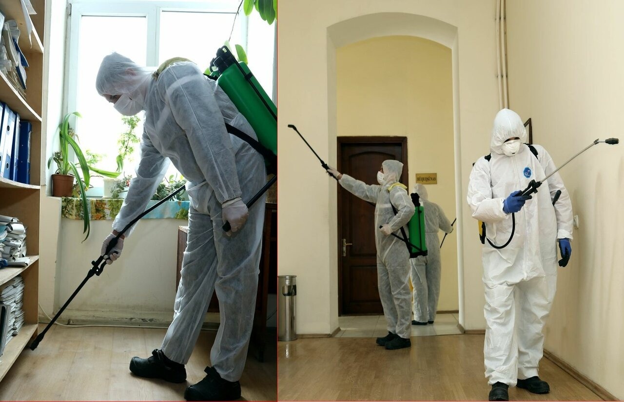 ФОТО Требуется ли лицензия для дезинсекции и дезинфекции в Отрадном? | подробно