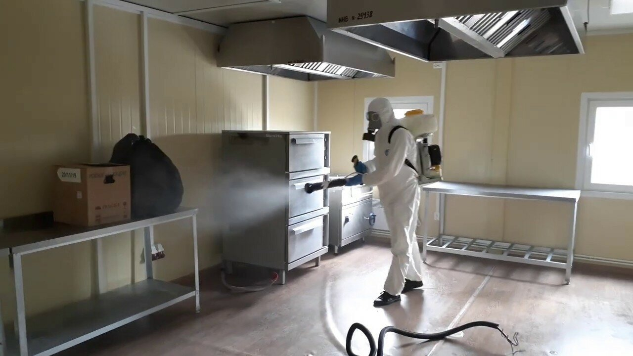 ФОТО Можно ли провести дезинсекцию самостоятельно и какие существуют риски в Отрадном? | подробно