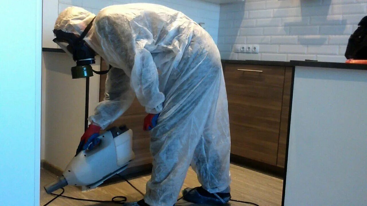 ФОТО Как подготовить домашних животных к обработке от насекомых в Отрадном? | подробно