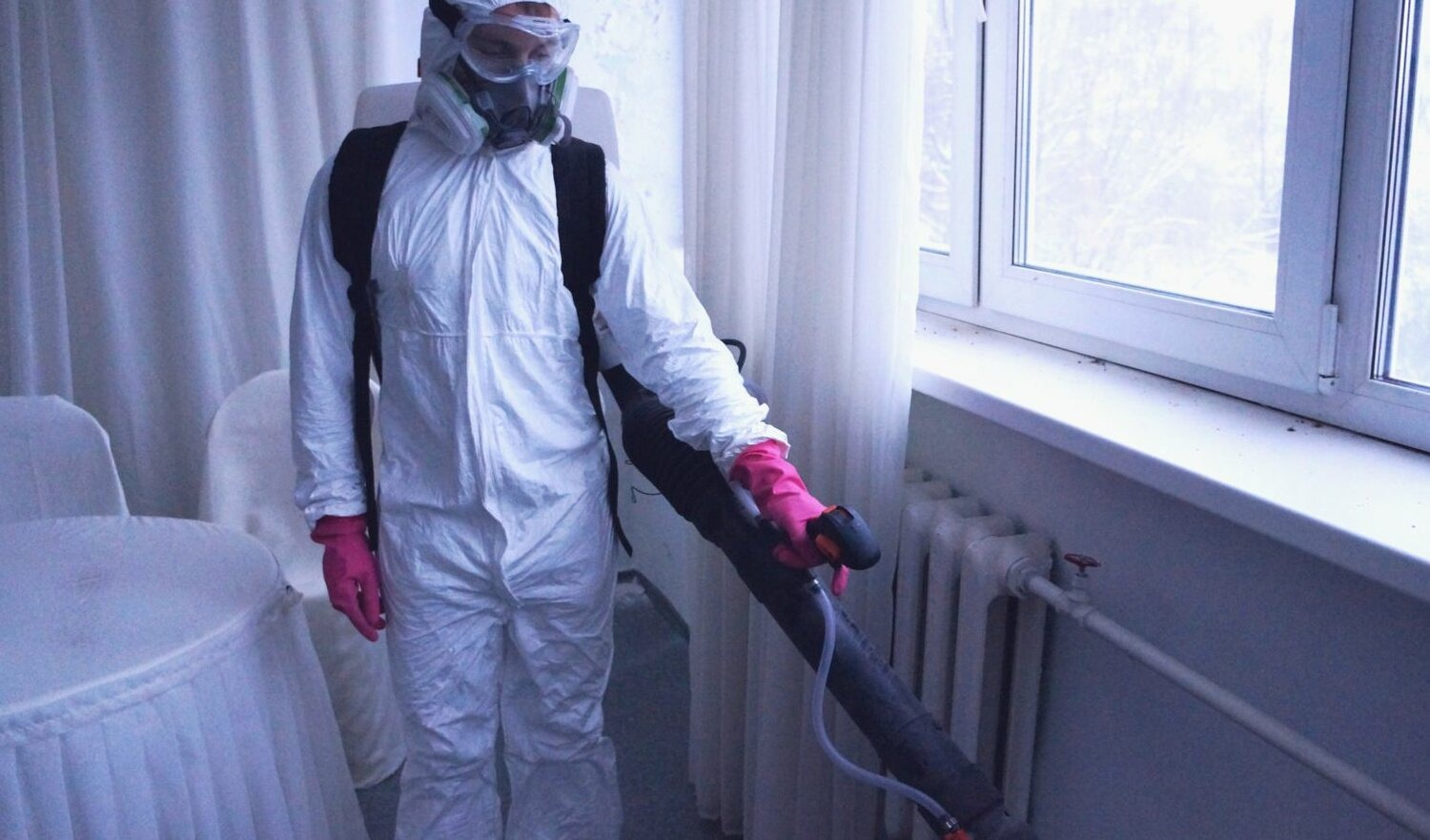 ФОТО Нужно ли выносить растения при дезинсекции в Отрадном? | подробно