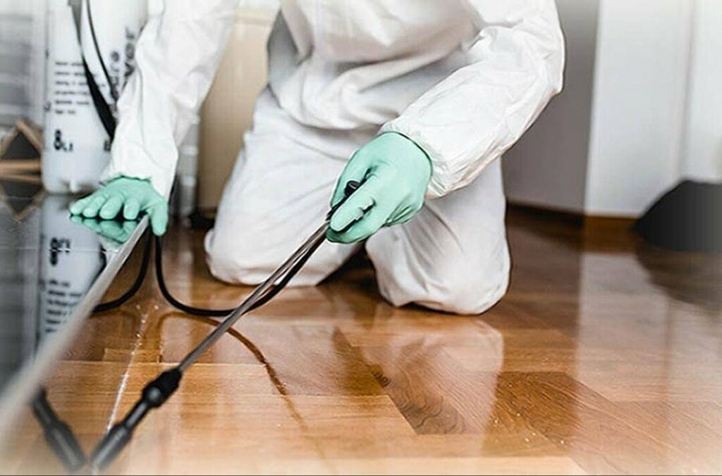 ФОТО Как подготовить вентиляцию при предстоящей дезинсекции в Отрадном?