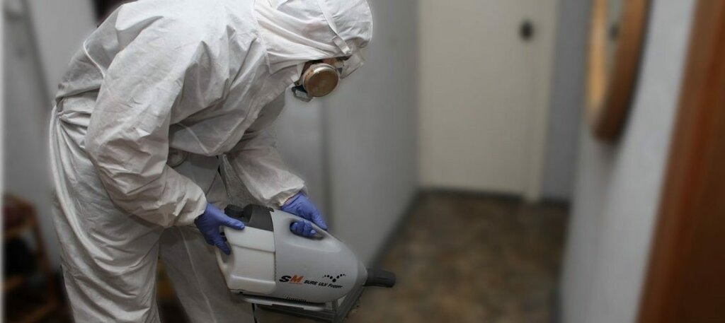 ФОТО Остаются ли следы после обработки квартиры от насекомых в Отрадном? | подробно