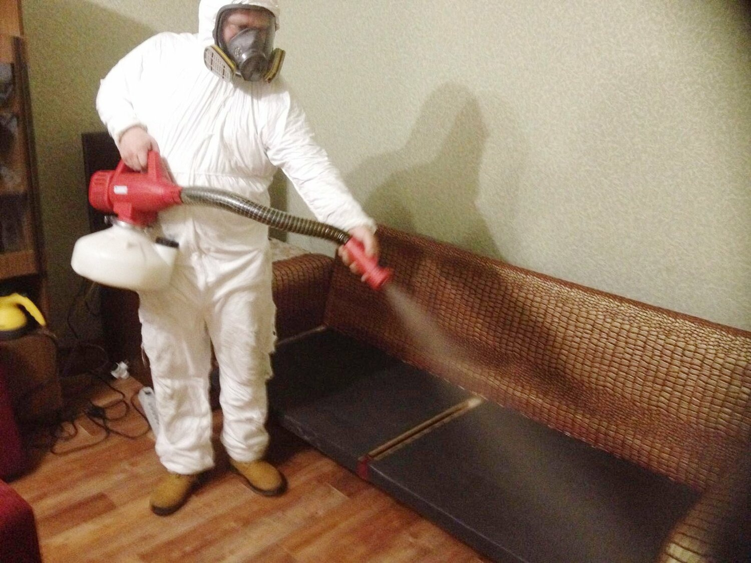 ФОТО Когда можно вернуться в помещение после дезинсекции в Отрадном? | подробно