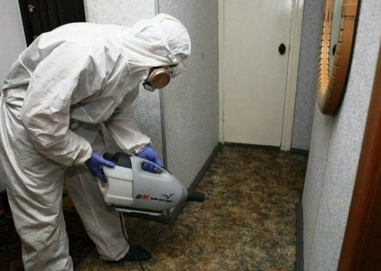 фото: Профессиональная дезинсекция в Отрадном: <br/>+7-909-173-42-96