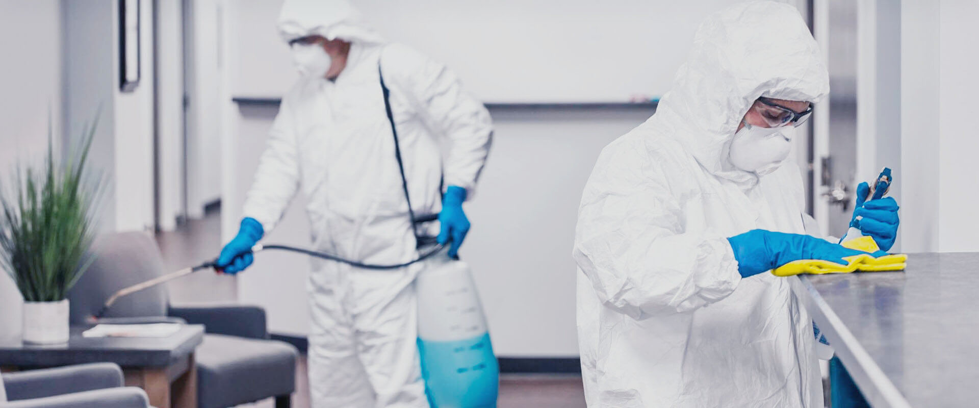 фото: Профессиональная дезинфекция в Отрадном: <br/>+7-909-173-42-96